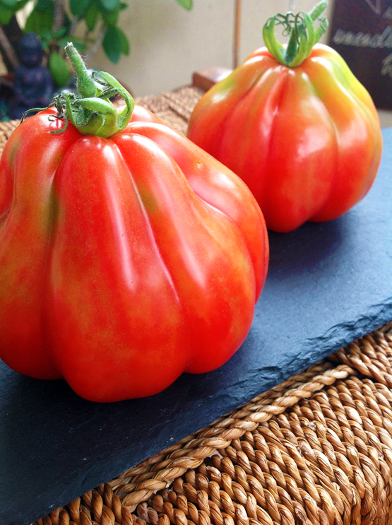 gebratene tomaten